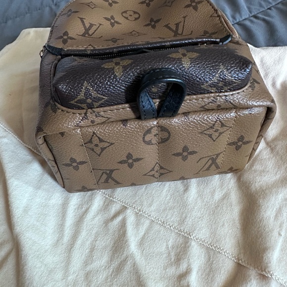 Louis Vuitton reverse monogram mini Palm Springs backpack - Picture 7 of 16